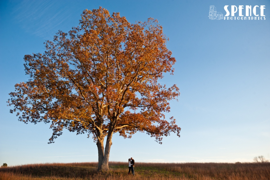 alisha_david_engagement_071_upload_new