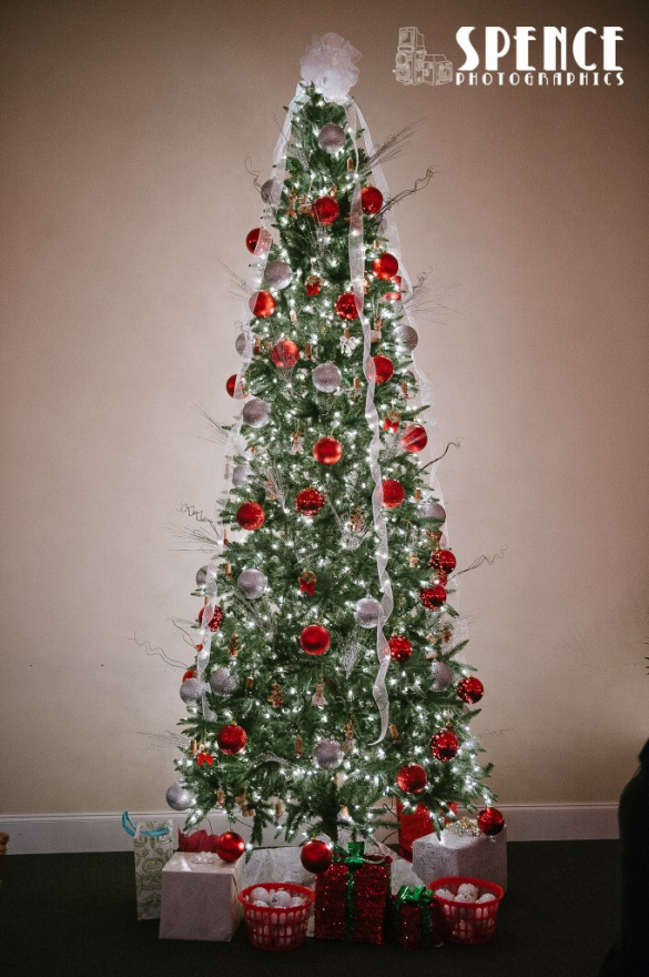 Springfield_Manor_Thurmont_Wedding_Darlene_Brian_blog_45