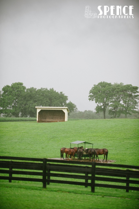 Harwood_Farm_Woodbine_Wedding_Marisa_Derek_002