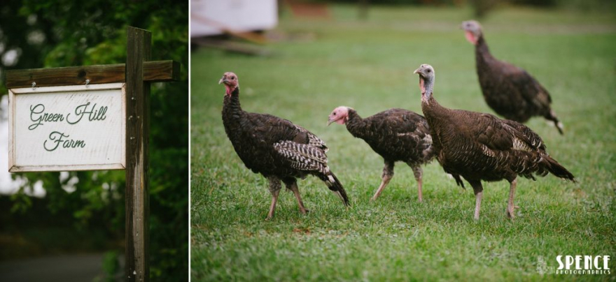 green_hill_farm_sharpsburg_wedding_kelly_kyle_blog_004_upload